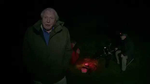 The Making Of David Attenborough's Light On Earth