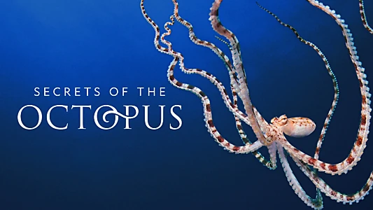 Secrets of the Octopus