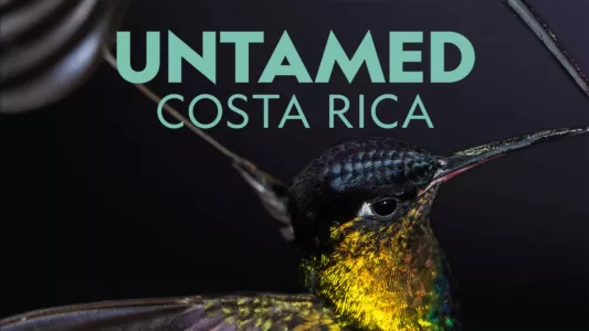 Untamed Costa Rica with Filipe DeAndrade