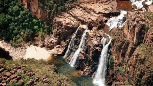 Kakadu