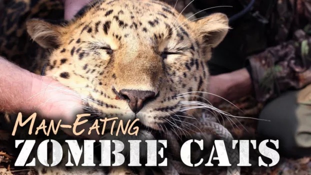 Man-Eating Zombie Cats