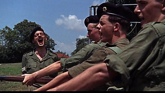 The Virgin Soldiers