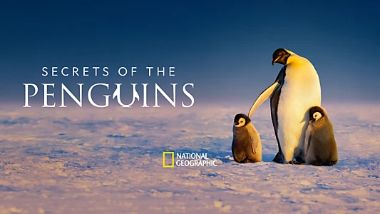 Secrets of the Penguins