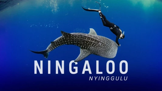 Ningaloo Nyinggulu