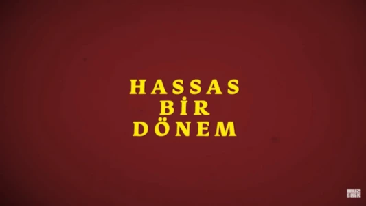 Hassas Bir Dönem - İsmail Türküsev