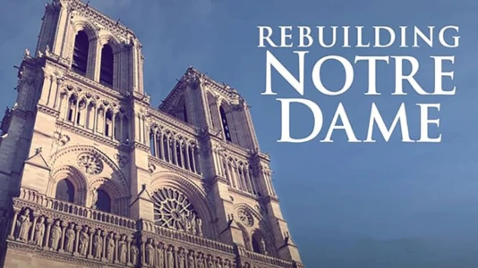 Rebuilding Notre-Dame