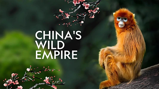 China's Wild Empire