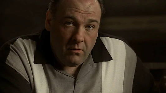 Wise Guy: David Chase and The Sopranos