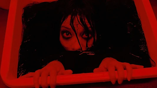 The Grudge 2