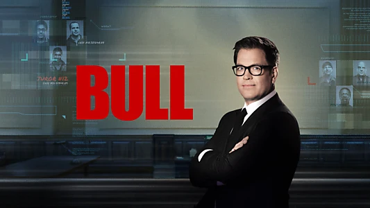 Bull