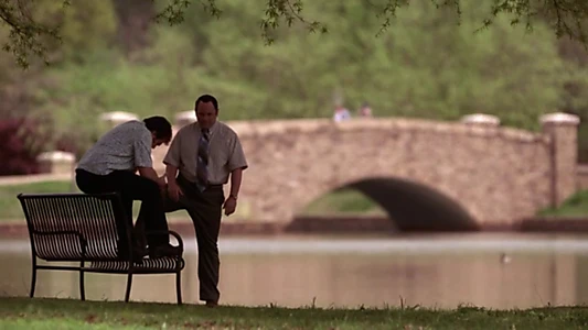 Shallow Hal