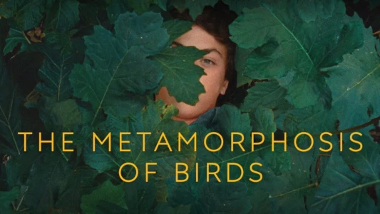 The Metamorphosis of Birds