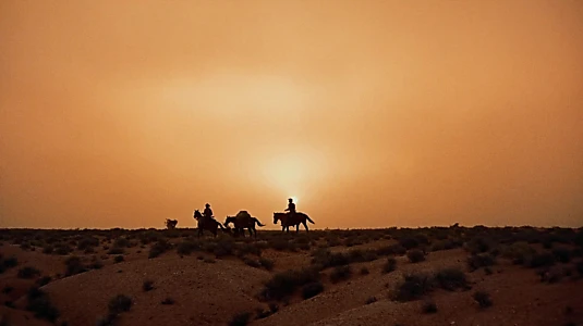 The Searchers