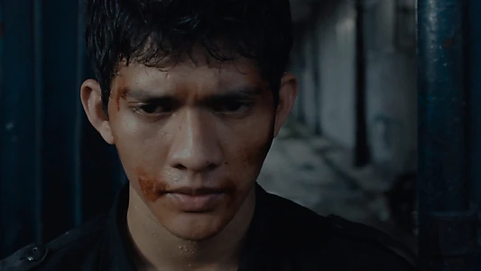 The Raid 2