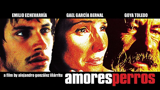 Amores Perros