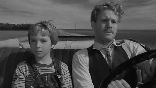 Paper Moon