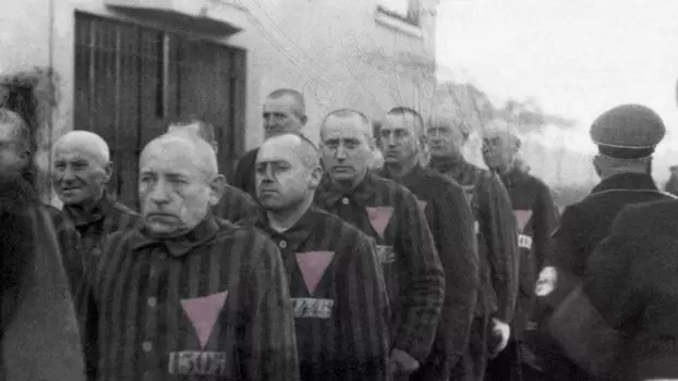 The Pink Triangle and the Nazi Cure for Homosexuality