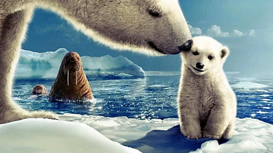 Watch Arctic Tale Trailer