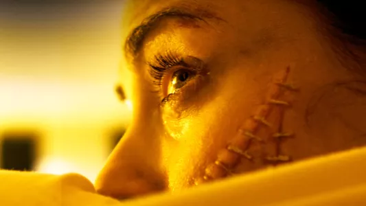 Watch The Human Centipede (First Sequence) Trailer