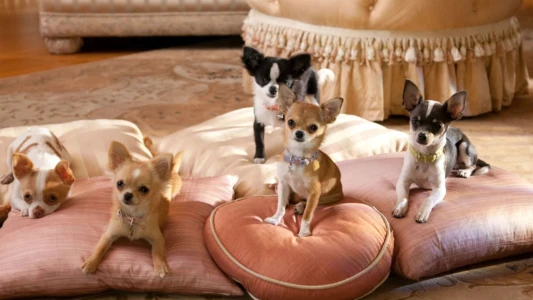 Watch Beverly Hills Chihuahua 2 Trailer