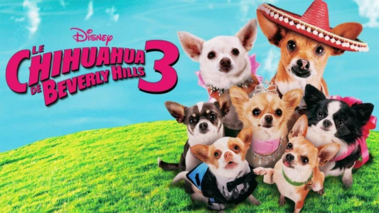 Watch Beverly Hills Chihuahua 3: Viva la Fiesta! Trailer