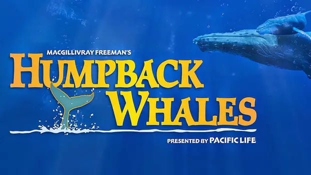Watch Humpback Whales Trailer