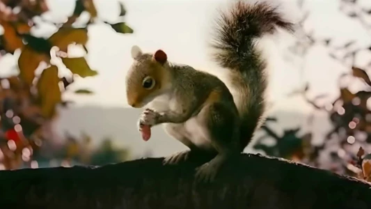 Watch Squirrels Trailer