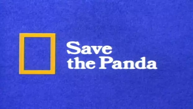 Save the Panda