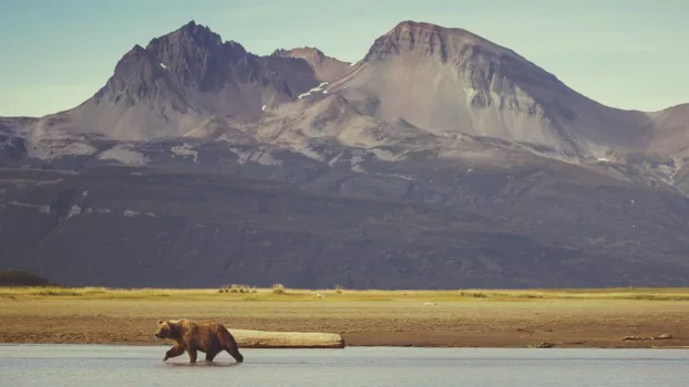 Watch Into Alaska Trailer