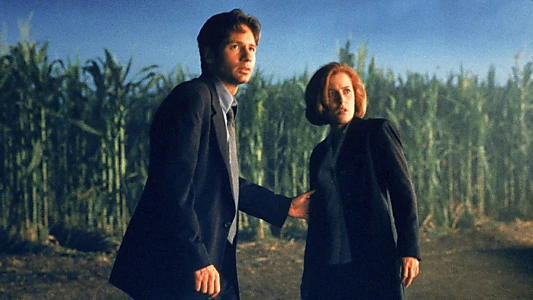 The X Files