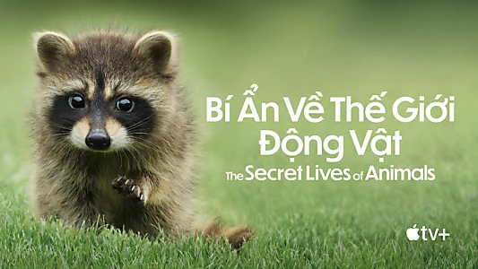 The Secret Lives of Animals