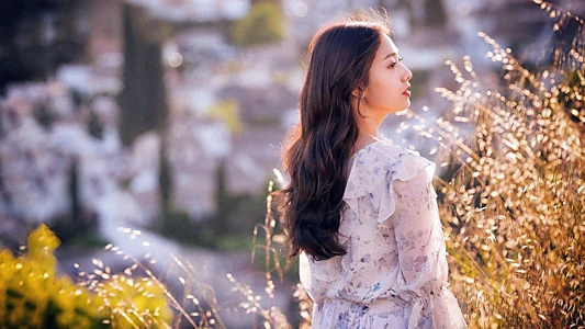 Memories of the Alhambra