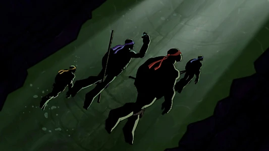 Batman vs Teenage Mutant Ninja Turtles