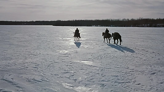 The Searchers