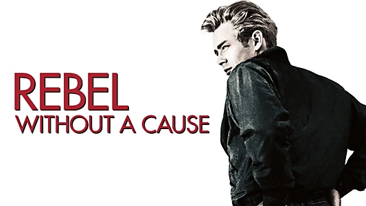 Rebel Without a Cause