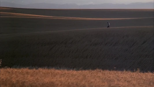 Days of Heaven