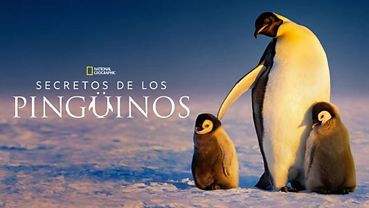 Secrets of the Penguins