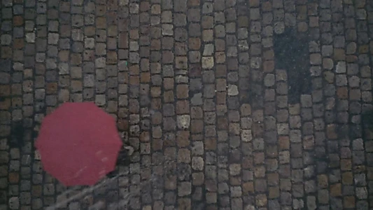 The Umbrellas of Cherbourg