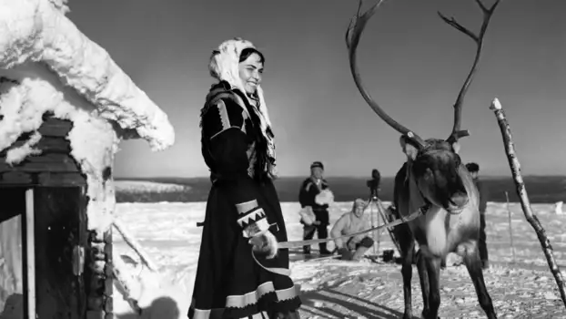 Watch The White Reindeer Trailer