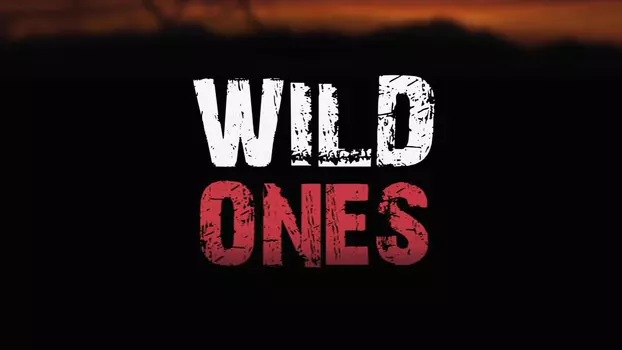 Watch Wild Ones Trailer