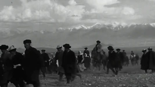 Mother's Field