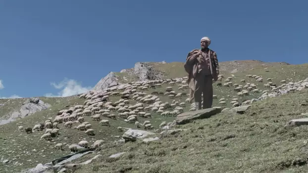 Watch The Gold-Laden Sheep and The Sacred Mountain Trailer