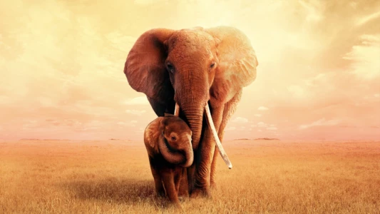 Watch The Elephant Queen Trailer