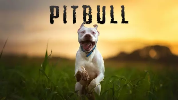Watch Pitbull Trailer