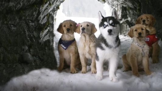 Watch Snow Buddies Trailer