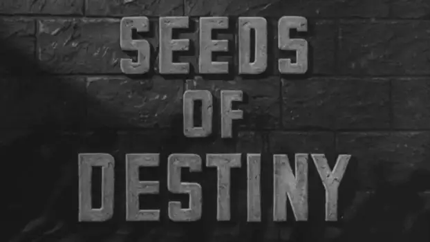 Watch Seeds of Destiny Trailer