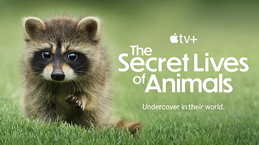 The Secret Lives of Animals