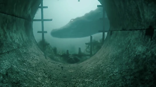 Crawl