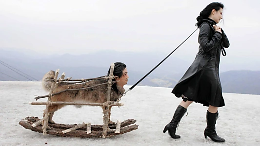 Lady Vengeance