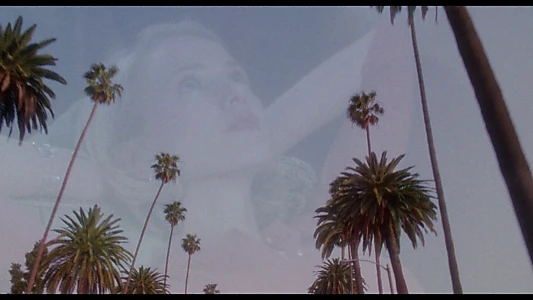 Mulholland Drive